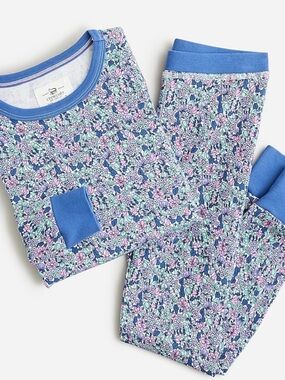 J. Crew Girls Long Sleeve Printed PJ Set Ivory Aqua Size 10
